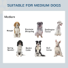 17" Heavy Duty Elevated Dog Bowls