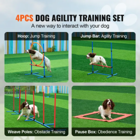 4 Piece Agility Training Set