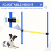 Agility Training Dog Course
