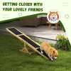 Agility Seesaw Ramp