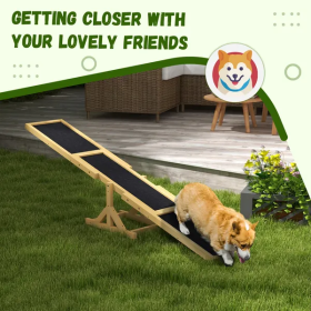 Agility Seesaw Ramp