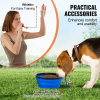4 Piece Agility Training Set