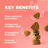 Flea and Tick Medications and Immune Support