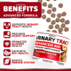 Urinary Tract Supplements for Dogs