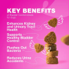 Cranberry Supplement Bladder Control for Dogs