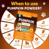 Pumpkin Powder Digestive Supplements for Dogs - 8 oz