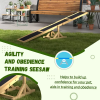 Agility Seesaw Ramp