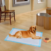 300x Disposable Dog Pee Pads