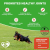 Dog Hip and Joint Supplements for Dogs
