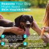 Skin Health and Coat Chew Supplements for Dogs