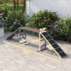Dog Agility Ramp with Safety Bar