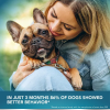 No Poo Chew Digestive and Gut Health Supplements for Dogs