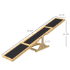 Agility Seesaw Ramp