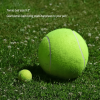 Dog Fetch Toys - 9.5" Inflatable Tennis Balls