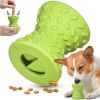Interactive Dental Dog Chew Toys