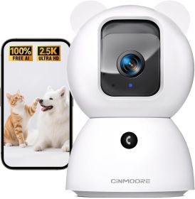 Indoor Security Camera