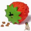 Strawberry Dog Treat Dispensing Toy