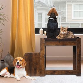 Bunk Bed with Removable Dog Stairs