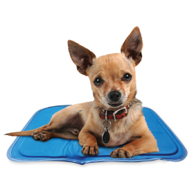 Heating and Cooling Pads Cool Pet Pad