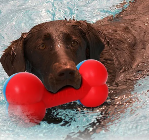 Durable Bone Shaped Dog Chew Toy