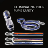 Waterproof Adjustable Reflective Dog Walking Set