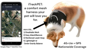 Dog GPS Trackers
