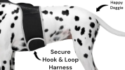 Dog GPS Trackers
