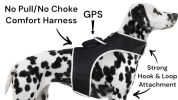 Dog GPS Trackers