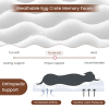 Orthopedic Dog Bed with Memory Foam Support
