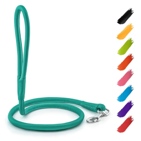 4ft Leather Rolled Dog Leash (Color: Mint)