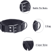 Heavy Duty Tactical Flat Dog Collars