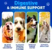 Probiotic Supplements for Dogs