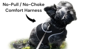 Dog GPS Trackers