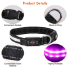 Waterproof Light Up LED Flat Dog Collar