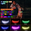 Waterproof Light Up LED Flat Dog Collar