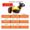 Dog Life Jackets