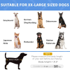 Framed Elevated Folding Dog Bed