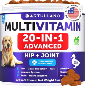 20 in 1 Multi-Vitamin Supplements for Dogs (Count: 120 Chews)