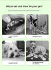 Pet Chew & Clean Buddy Dental Toy