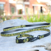 Waterproof UV Embossed Dog Walking Sets