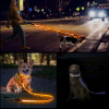 Waterproof Adjustable Reflective Dog Walking Set