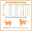 Dog GPS Trackers