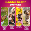 Cranberry Urinary Tract Supplements for Dogs