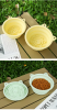 3-in-1 Collapsible Dog Travel Bowl
