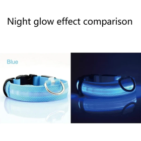 Waterproof Adjustable LED Flat Dog Collar (Color: Blue, Size: X-Small)