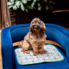 Disney Heating and Cooling Pet Pad