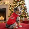 All I Want For Christmas Dog Shirt - Red
