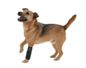 Joint Protective Reflective Mobility Aids for Dogs