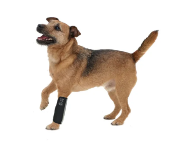 Protective Joint Mobility Aids for Dogs (Color: Black, Size: Small)