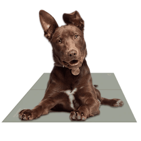 Chilz Gel Pad (Color: Sage Gray, Size: Medium)